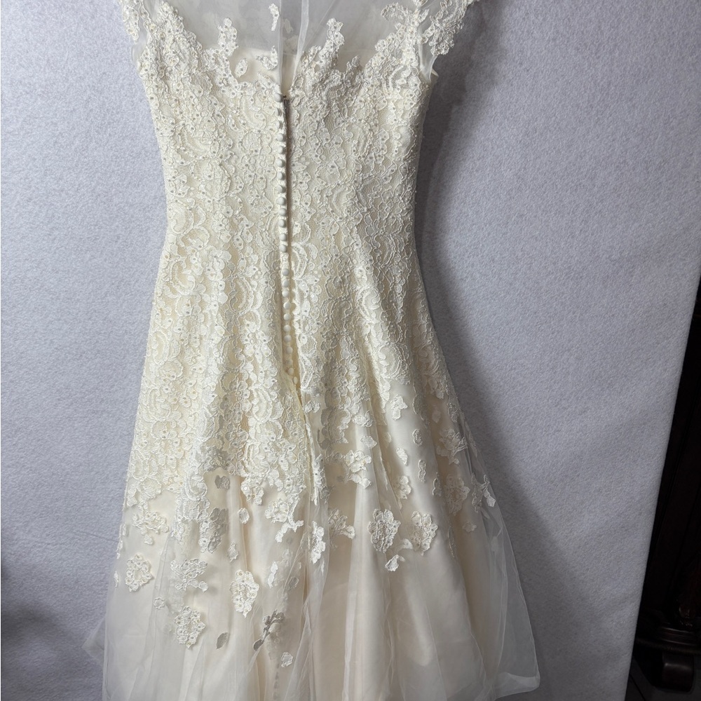 Ivory Lace A-Line Dress with Sheer Cap Sleeves - Picture 5 of 6